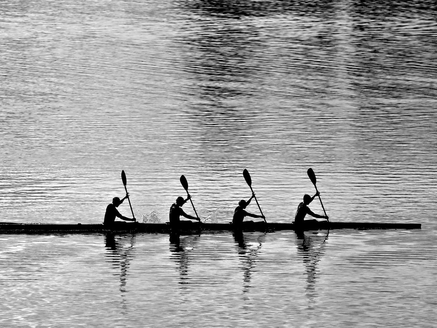 Équipage d'aviron sur l'eau